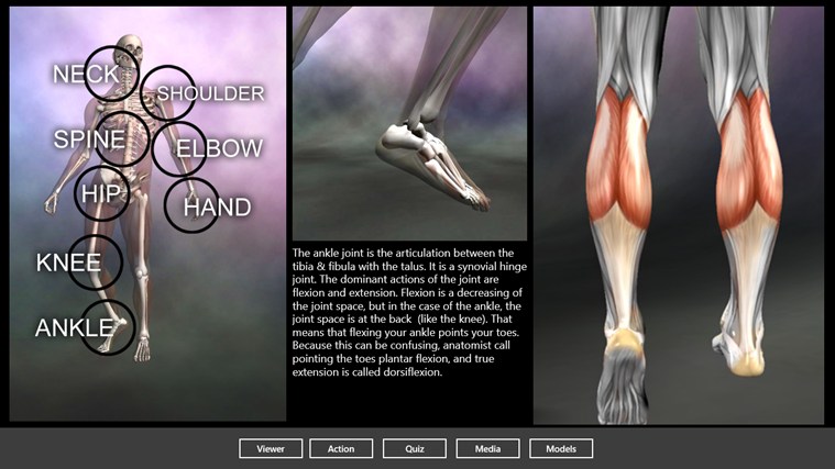 Muscle and Bone Anatomy 3D in Windows Store