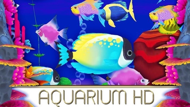 msohtmlclipclip_image001