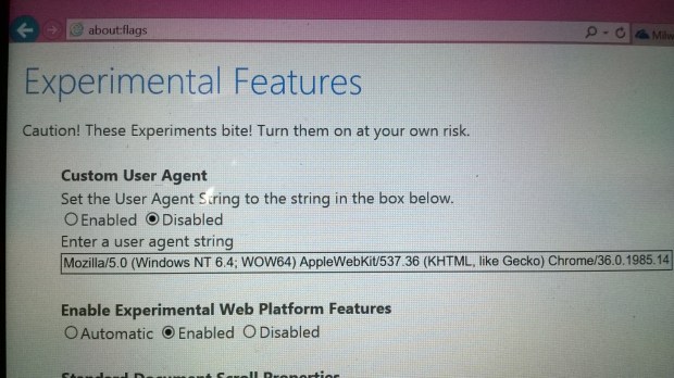 IE Experimental Features