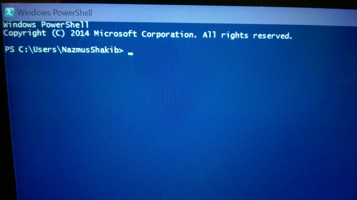 How to Go Fullscreen in Command Prompt and Powershell – McAkins Online